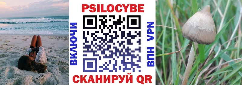 Псилоцибиновые грибы Psilocybine cubensis  Дятьково 